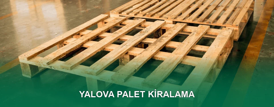 Yalova Palet Kiralama Hizmeti